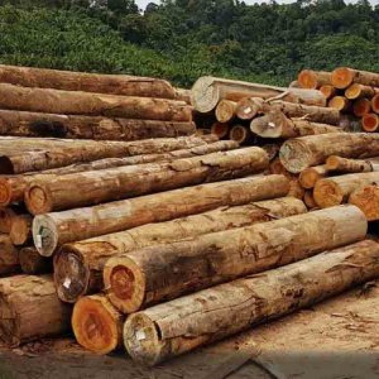 Wood Products Salem Bin Ahmed Bin Yamani Company